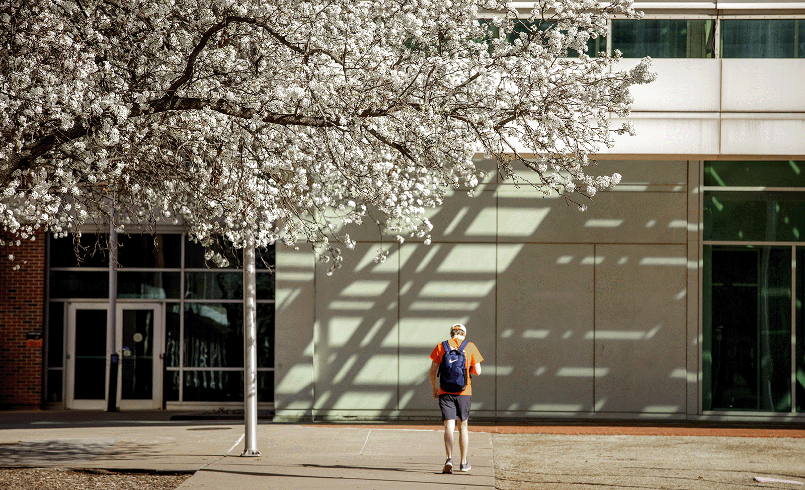 How to login for online class on slate